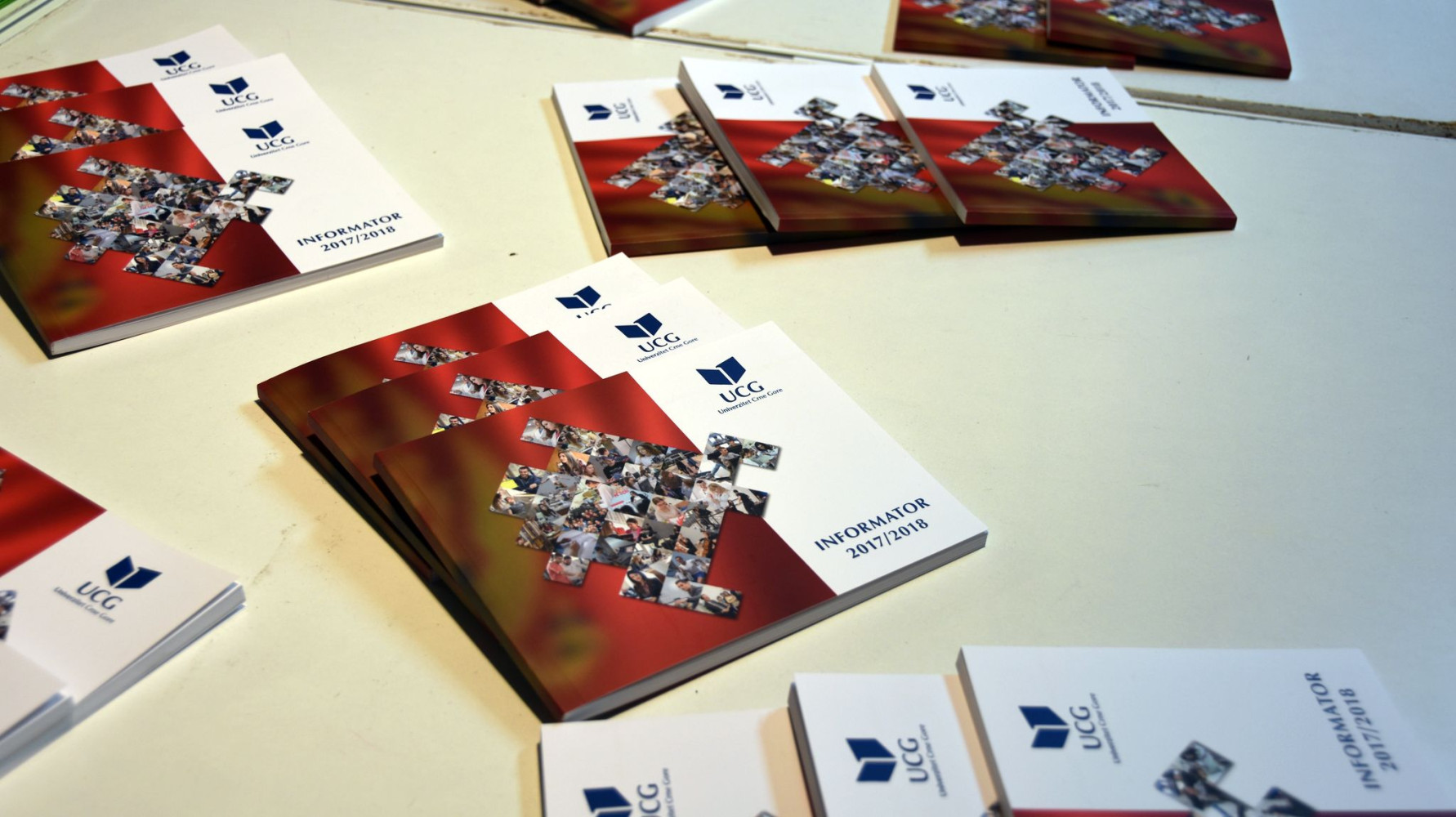 Univerzitet Crne Gore