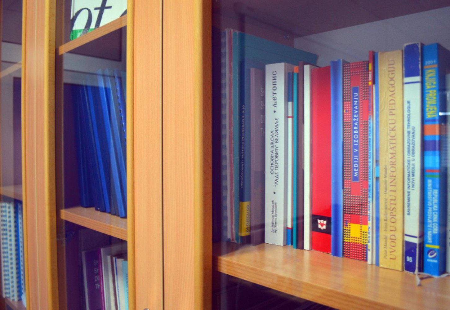 Univerzitet Crne Gore