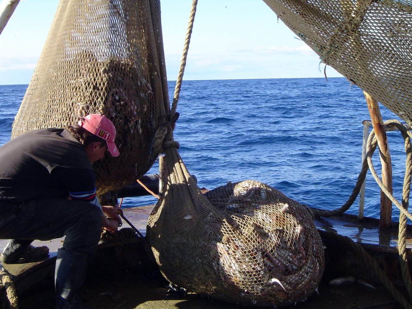 Univerzitet Crne Gore