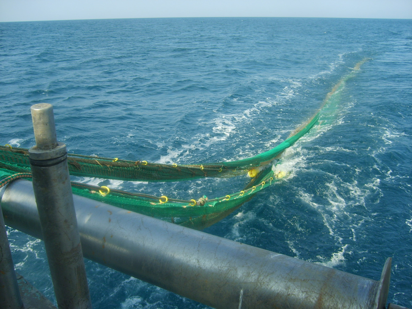 Ulov demerzalnih vrsta mrežom kočom na otvorenom moru