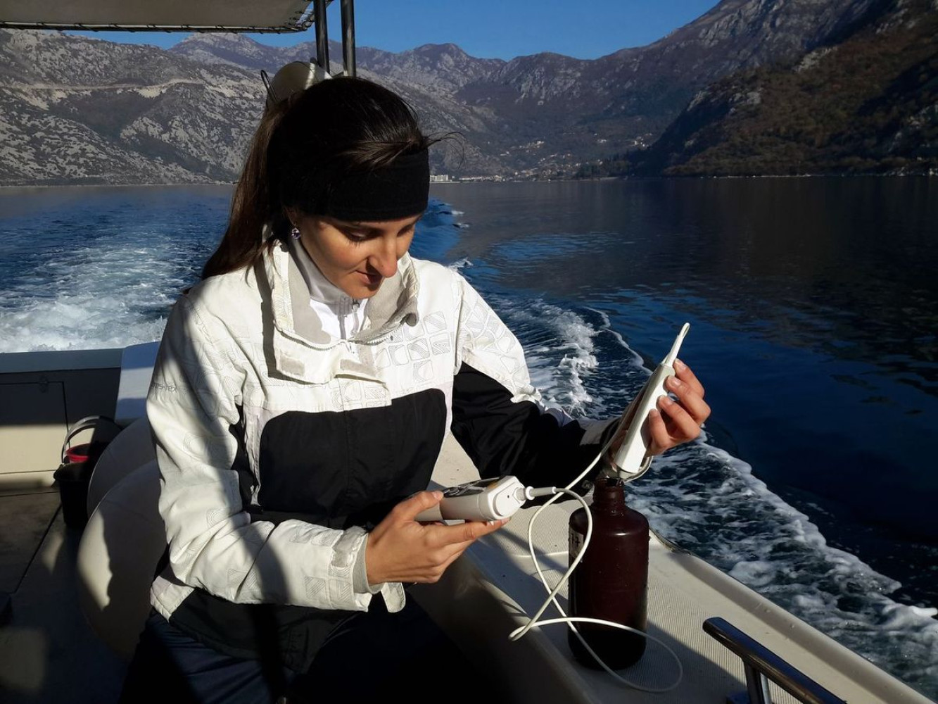 Univerzitet Crne Gore