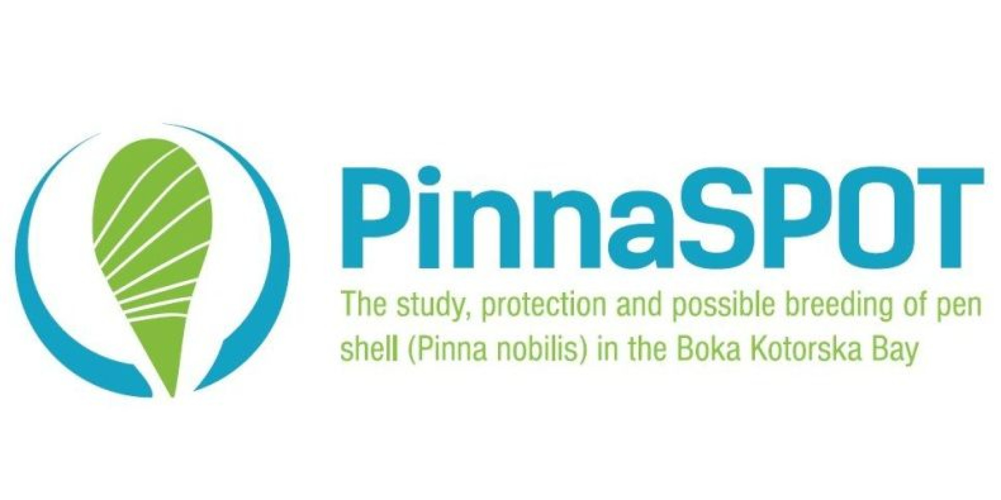 Univerzitet Crne Gore