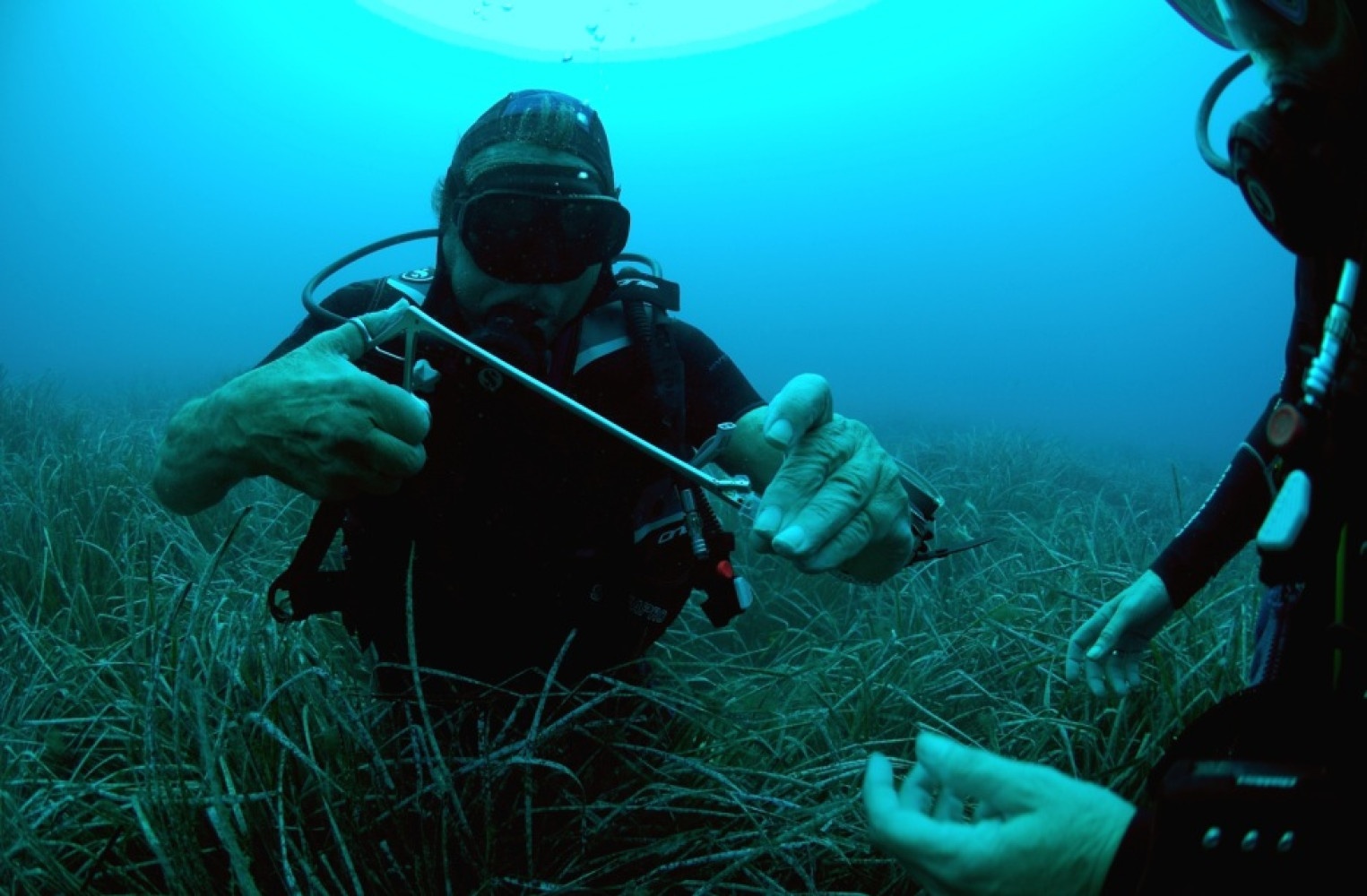 Univerzitet Crne Gore