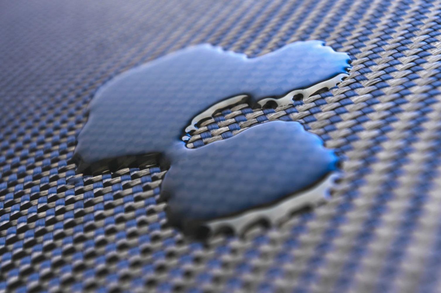 Univerzitet Crne Gore