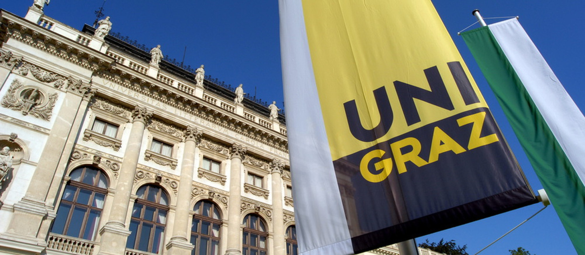 Univerzitet Crne Gore