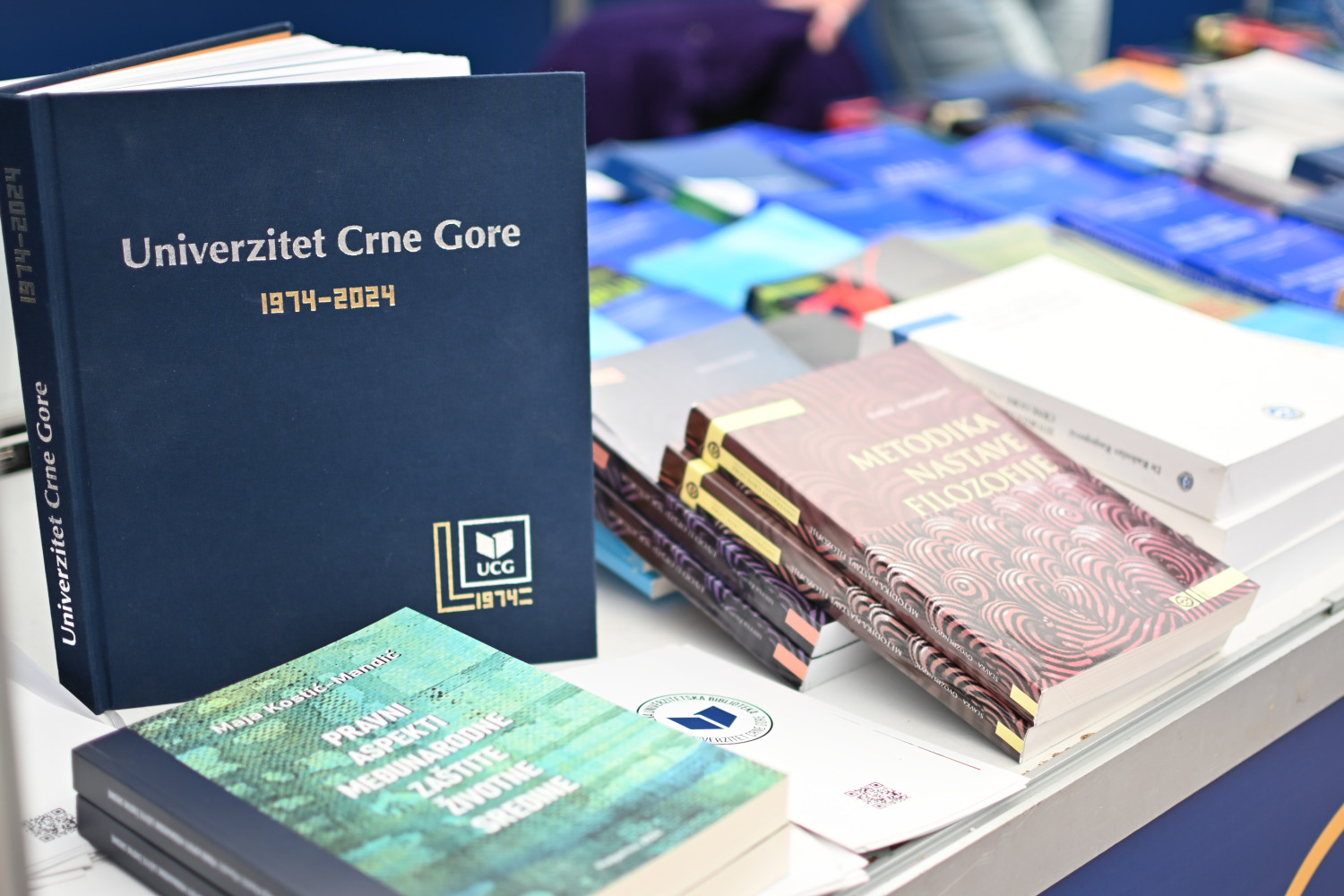 Univerzitet Crne Gore