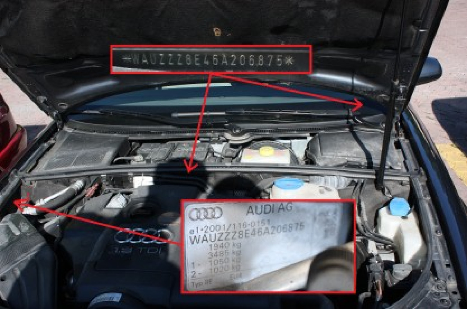 Univerzitet Crne Gore