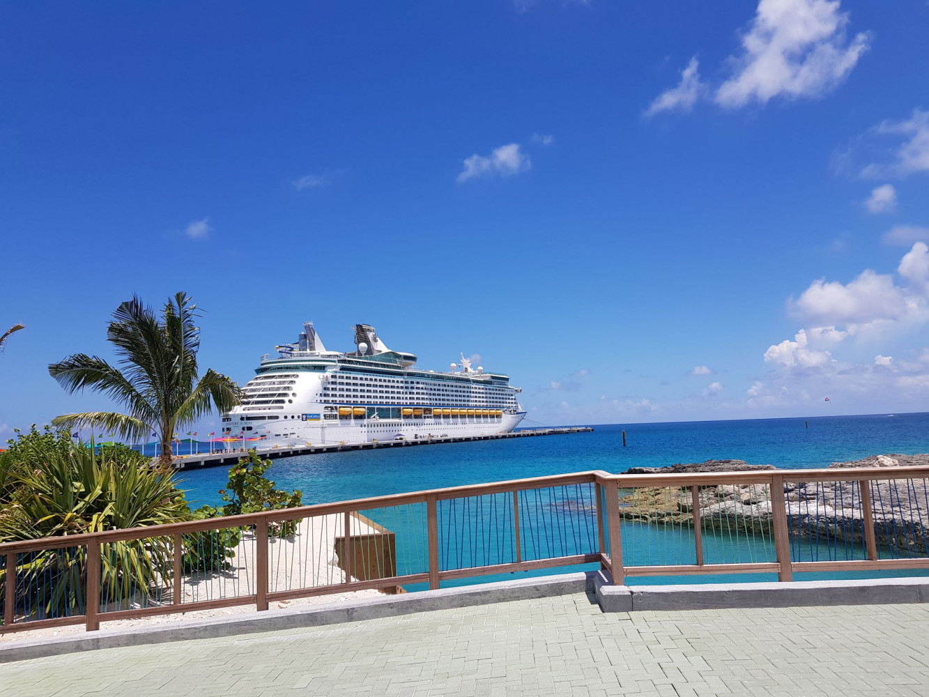 Univerzitet Crne Gore