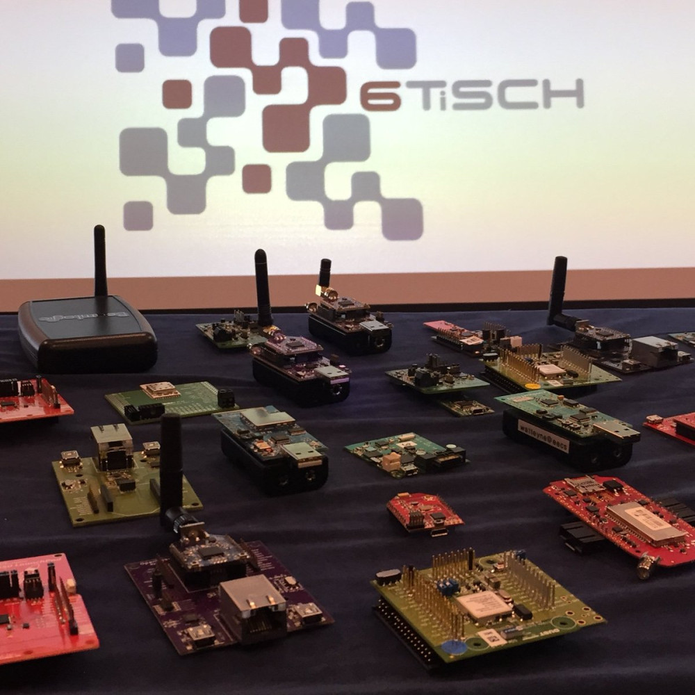 Univerzitet Crne Gore