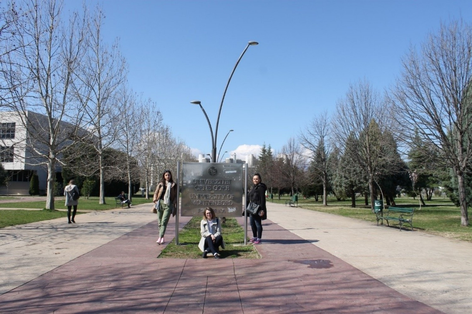 Univerzitet Crne Gore