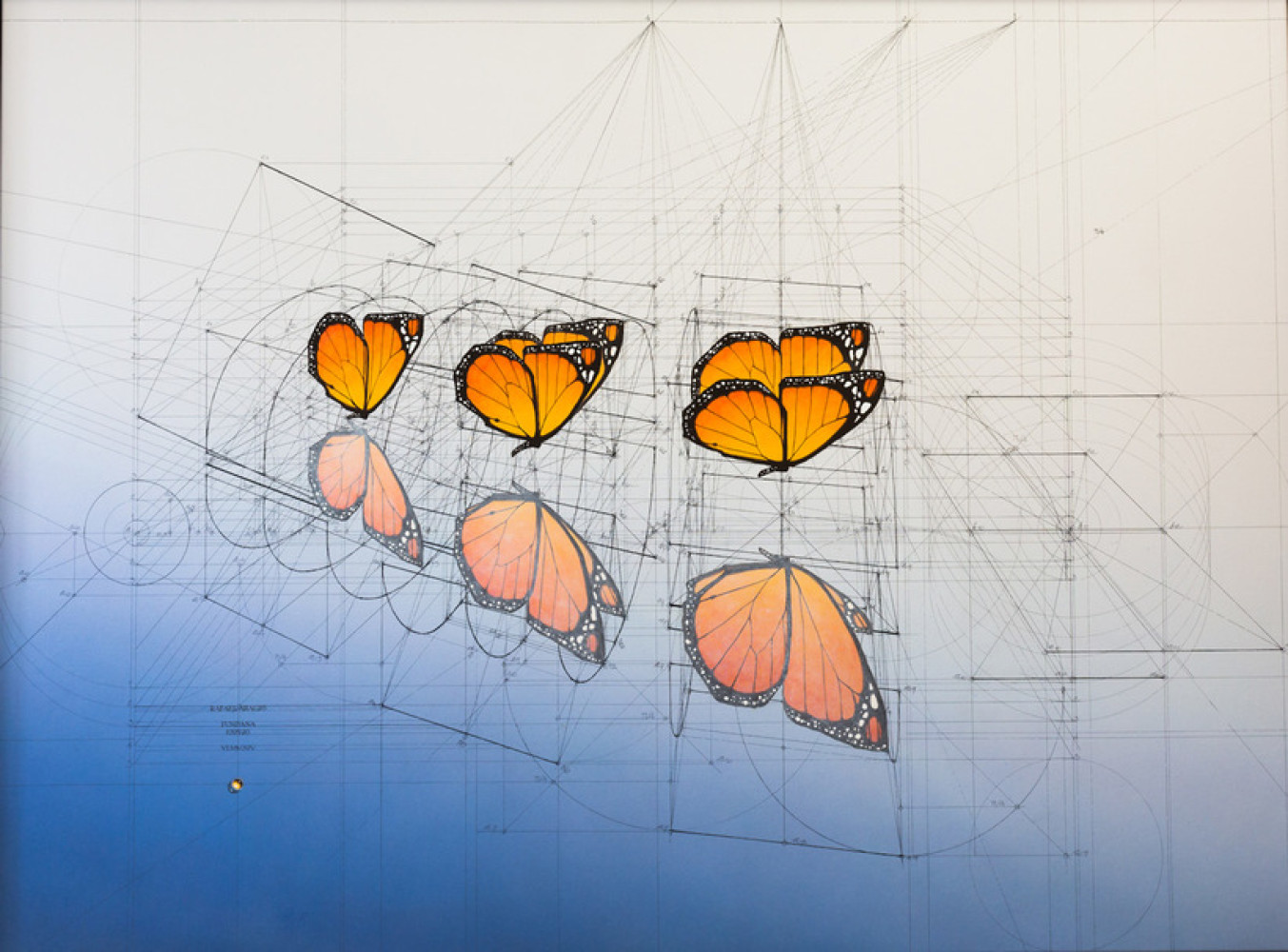 Univerzitet Crne Gore