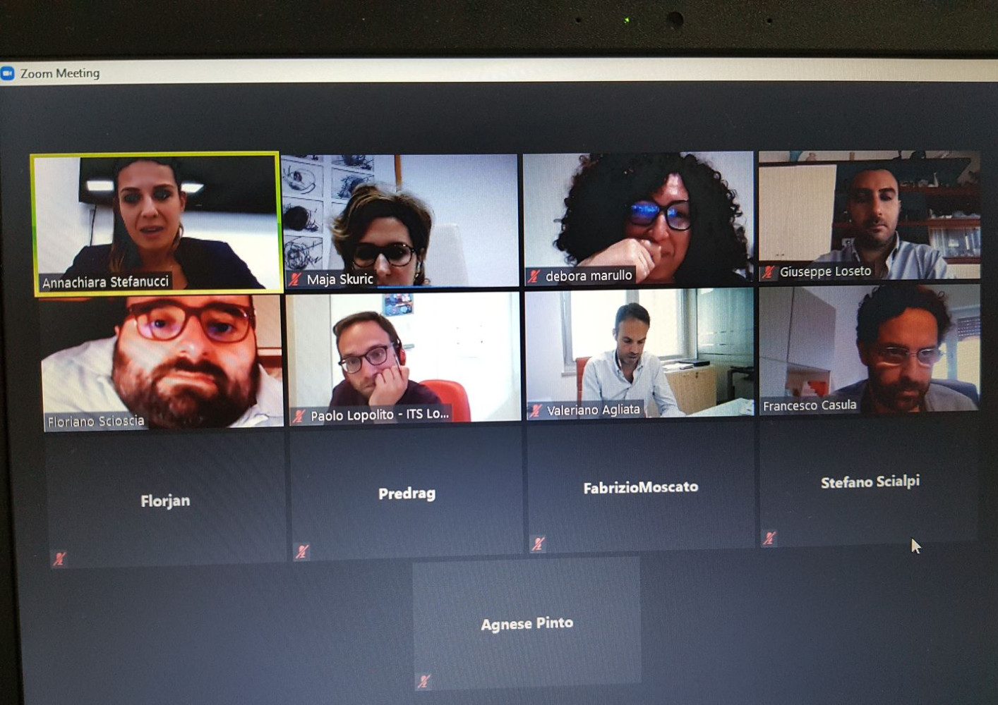 Univerzitet Crne Gore