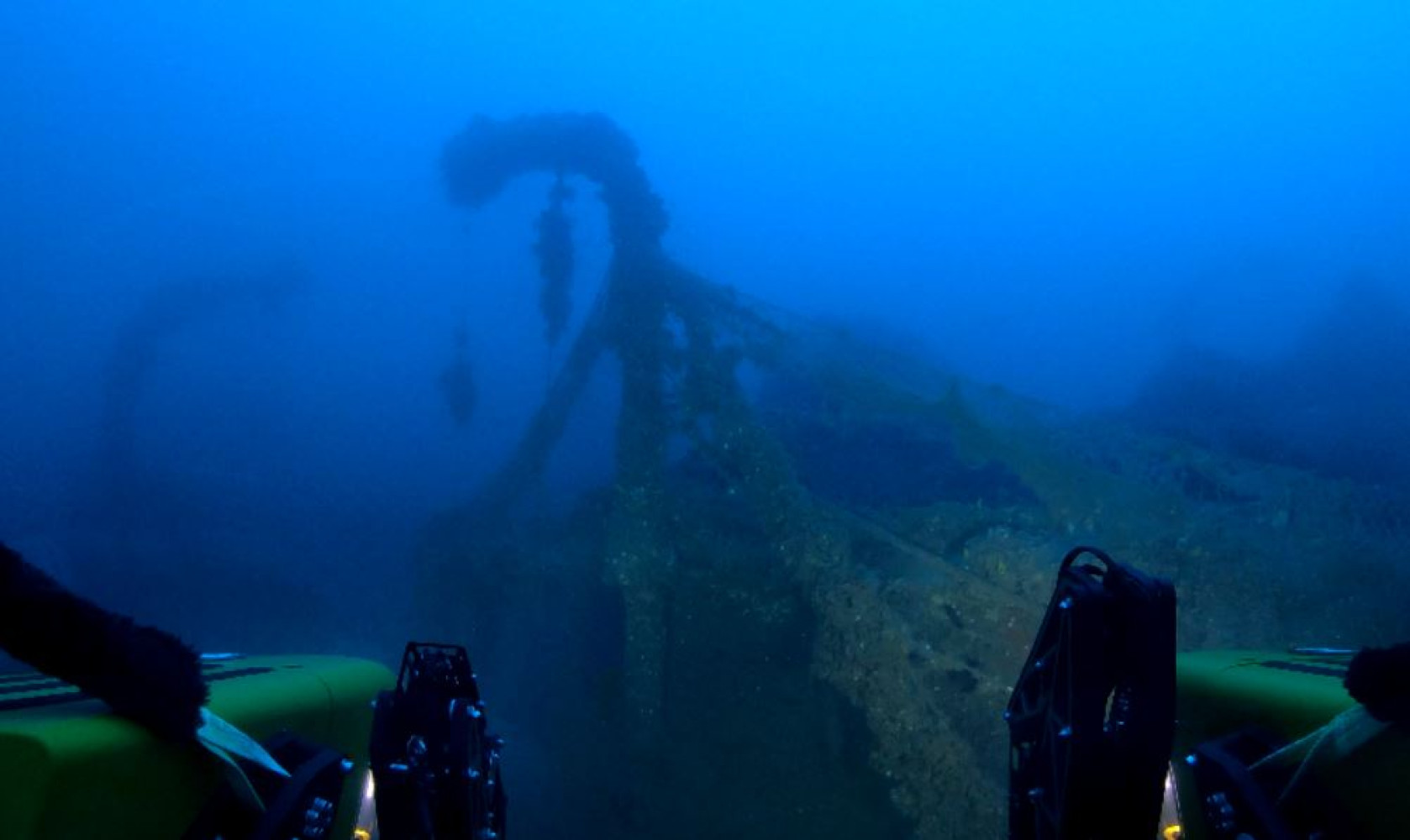 Univerzitet Crne Gore