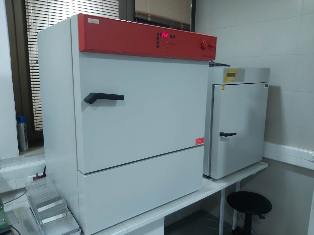 Univerzitet Crne Gore