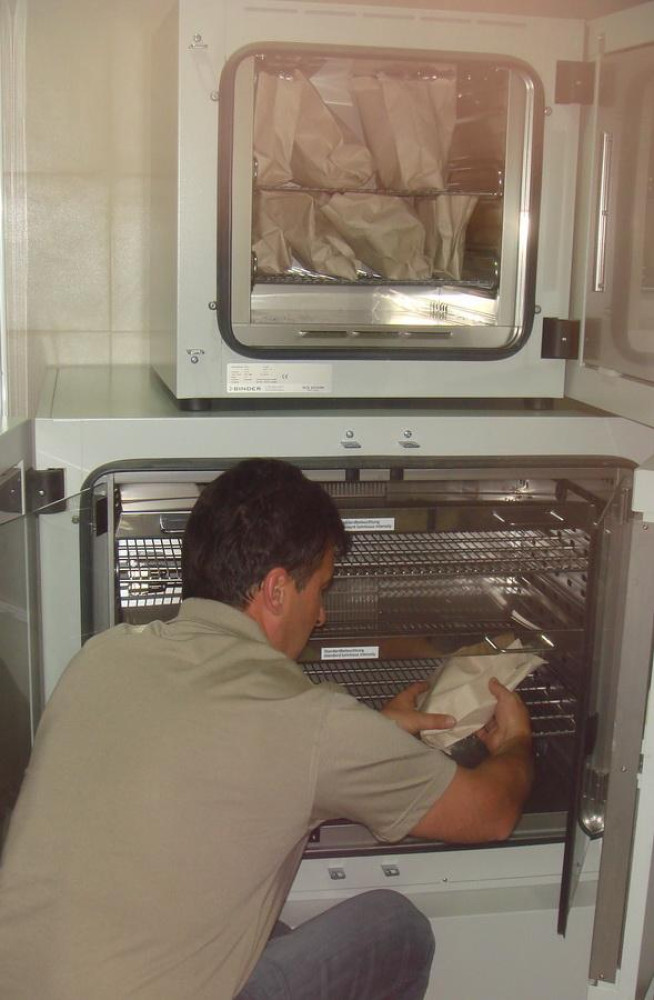 Univerzitet Crne Gore