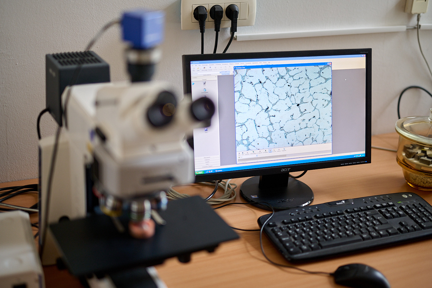 Univerzitet Crne Gore