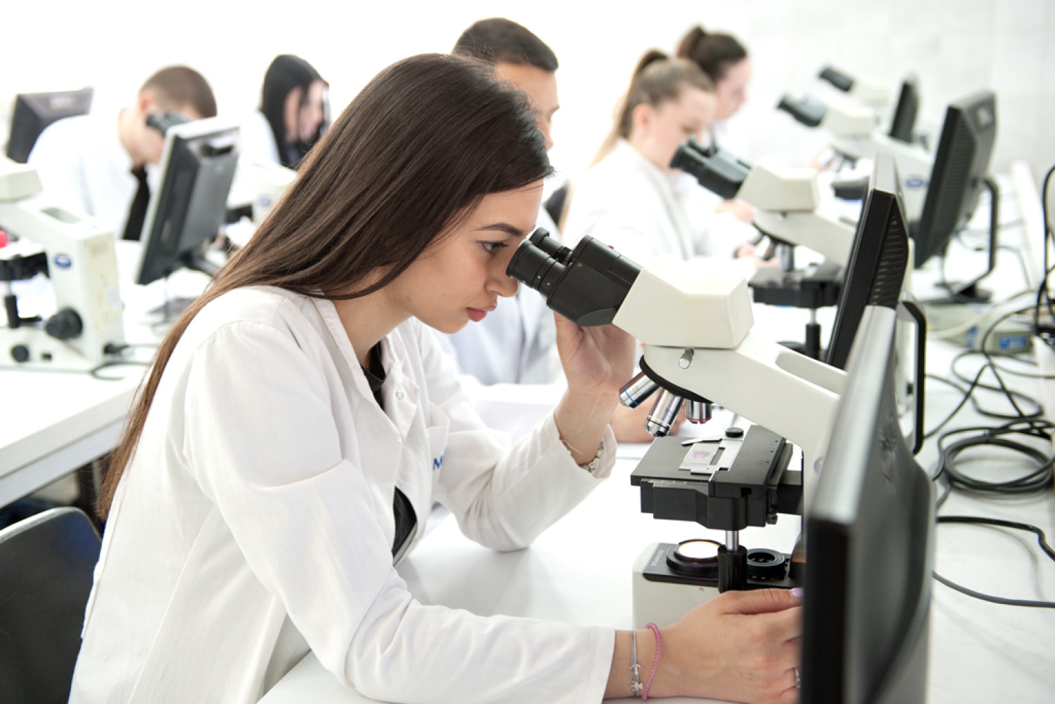 Univerzitet Crne Gore