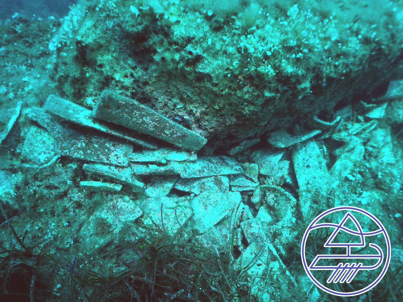 Univerzitet Crne Gore