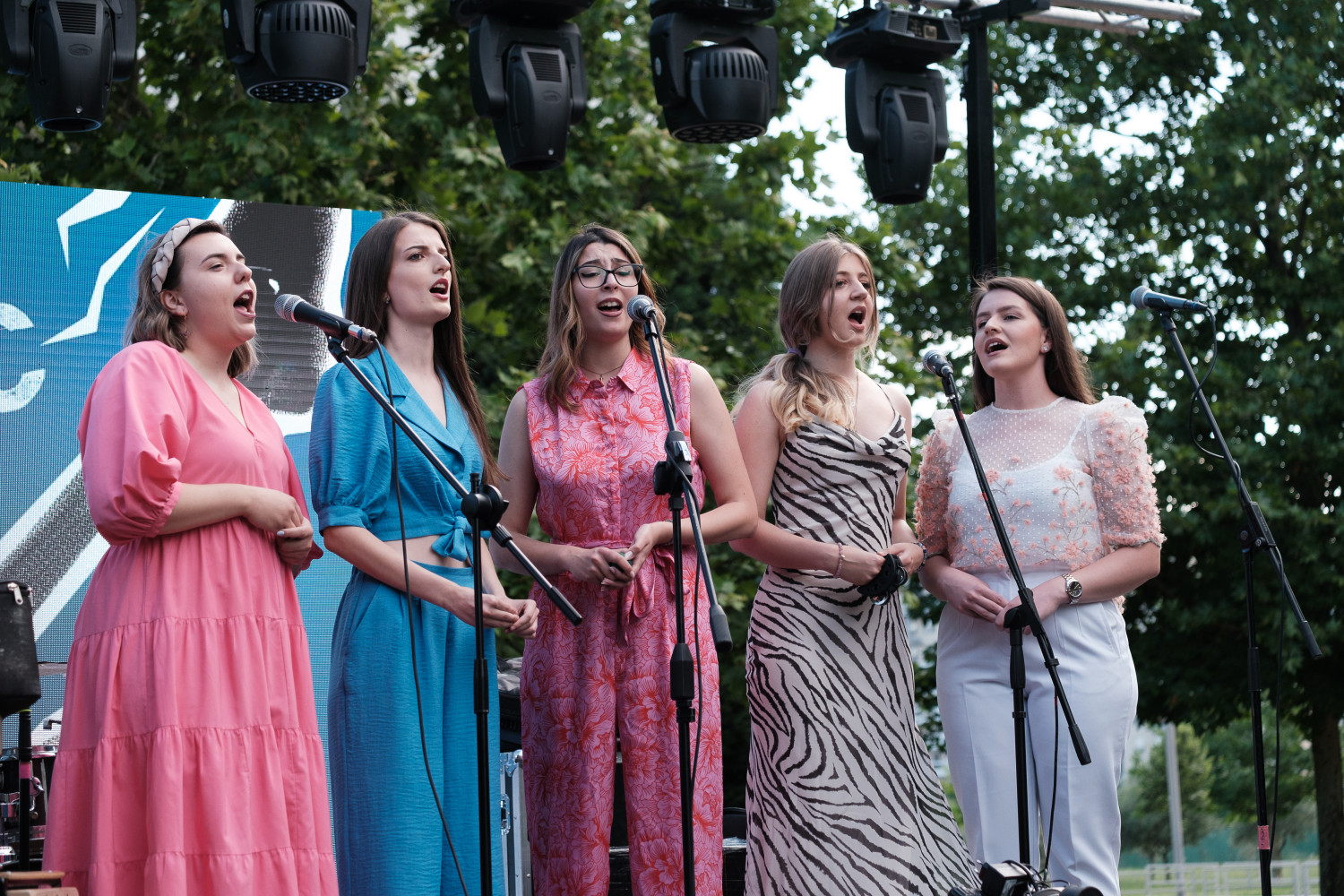 Univerzitet Crne Gore