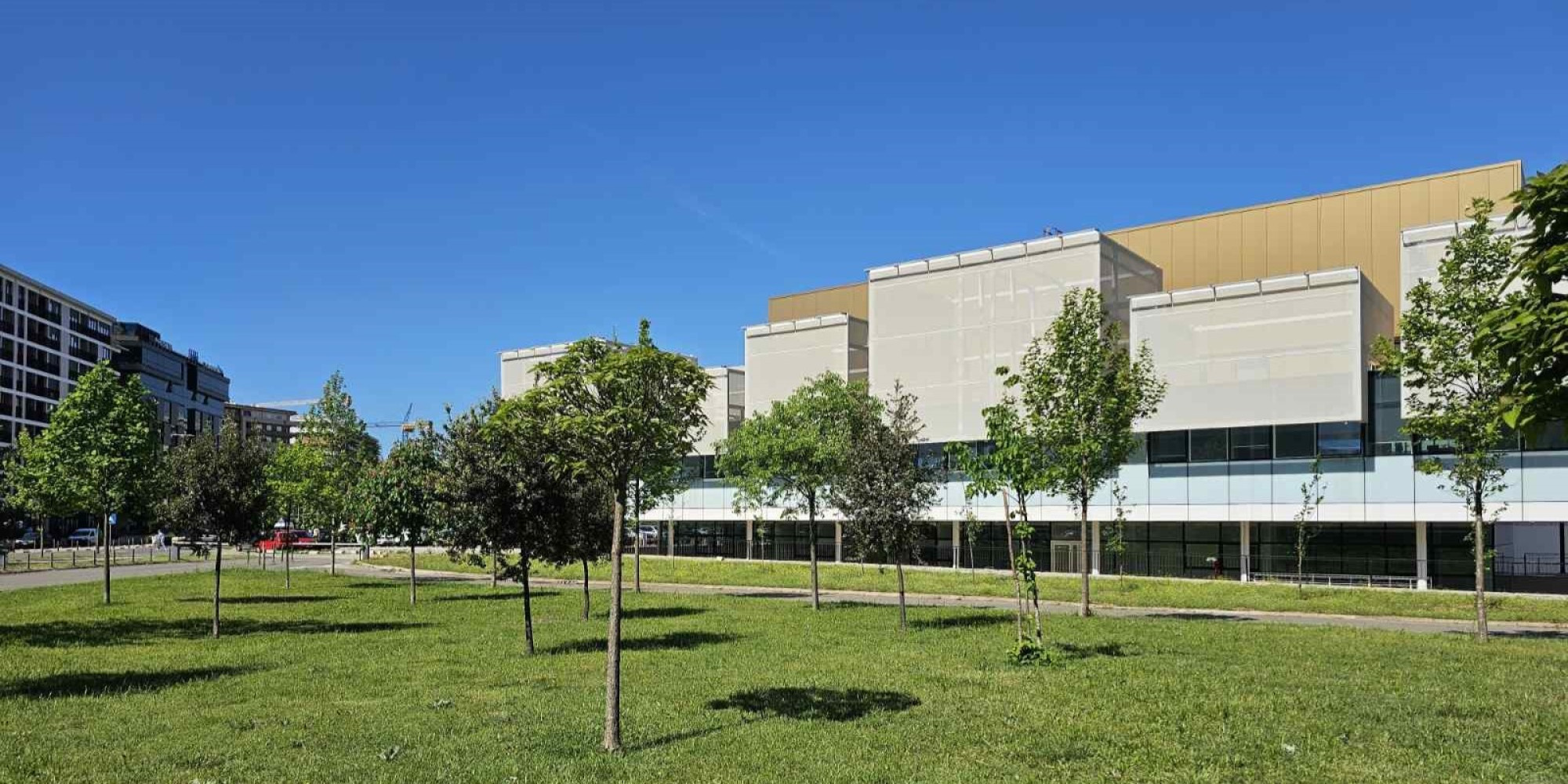 Univerzitet Crne Gore