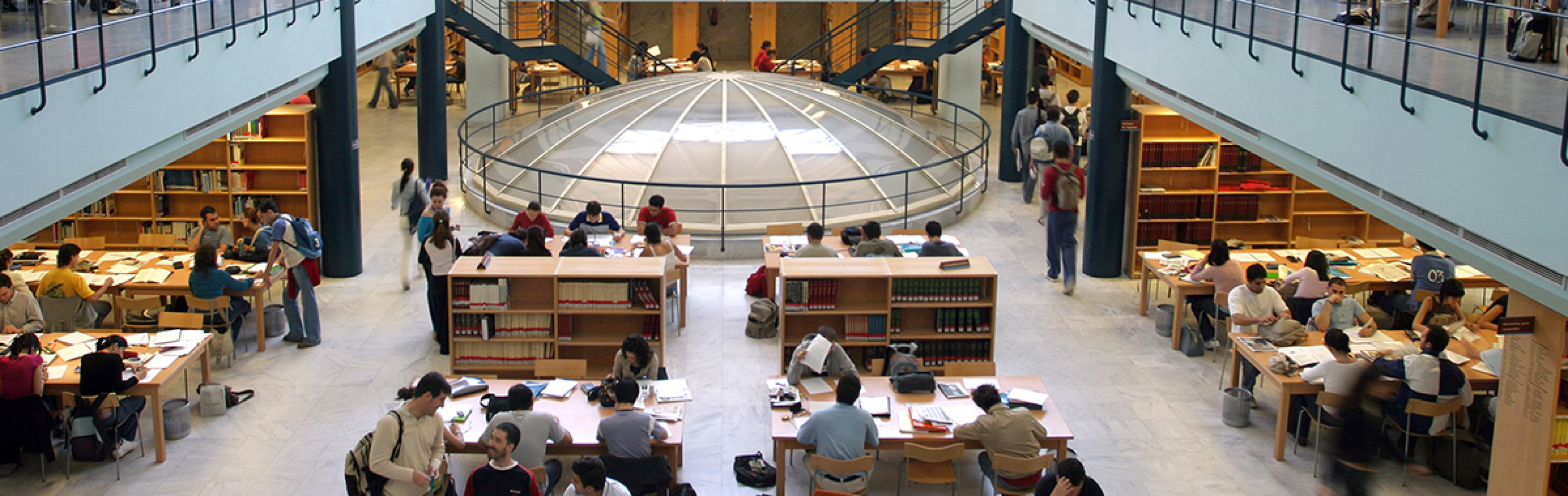 Univerzitet Crne Gore