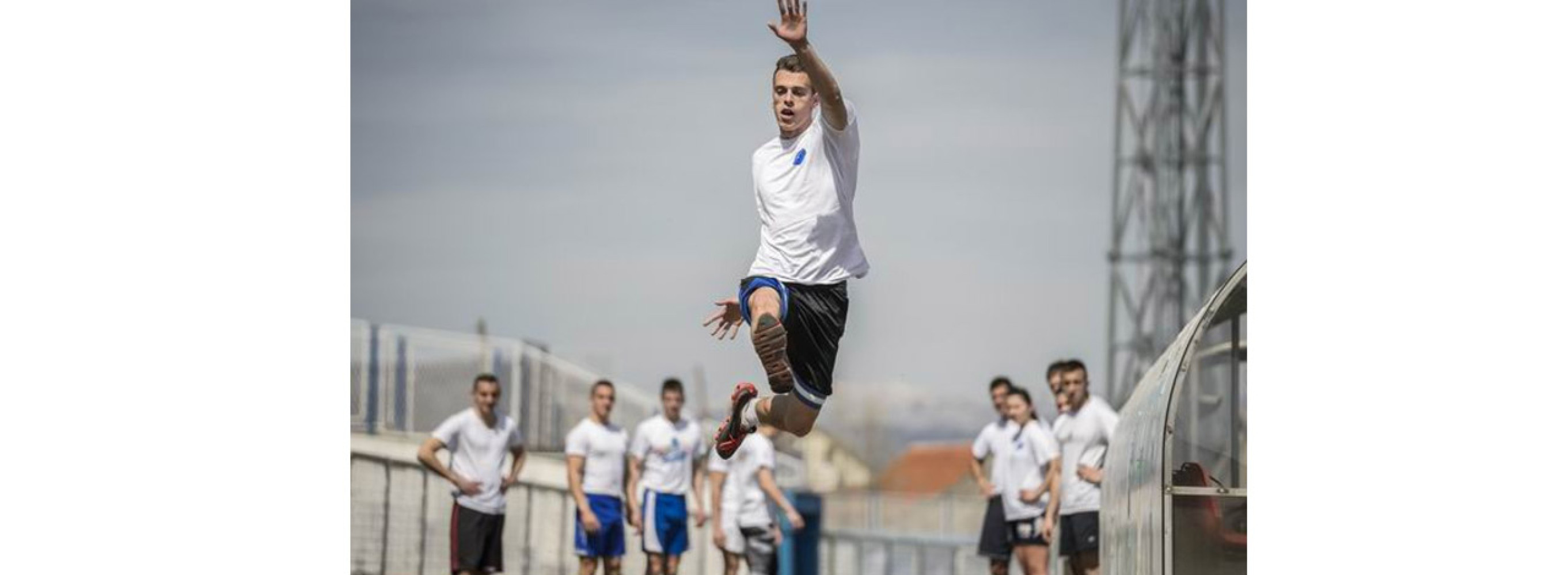 Univerzitet Crne Gore