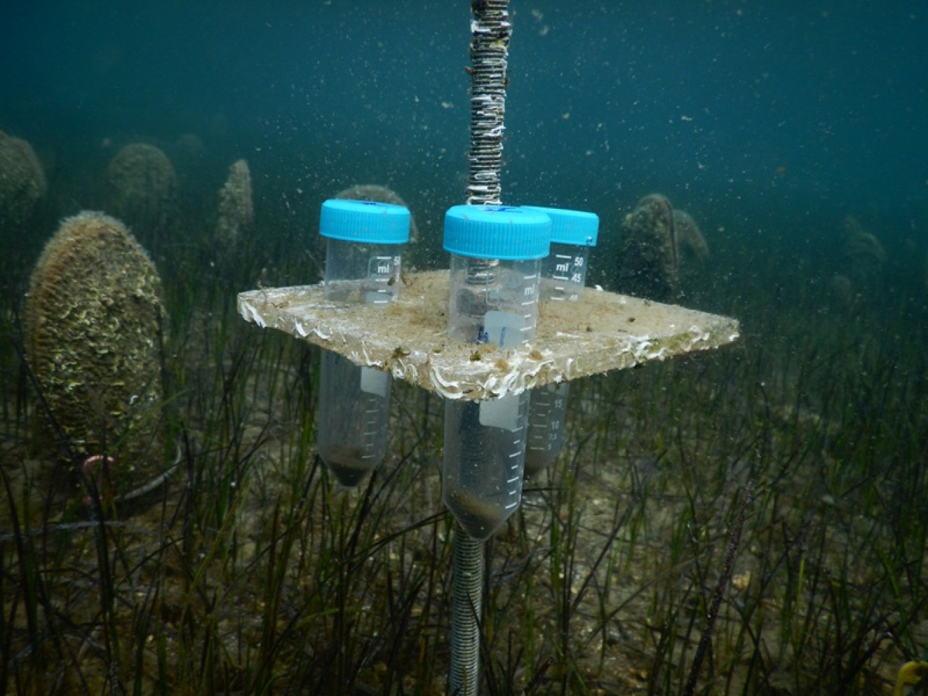 Projekat PinnaSPOT: Resuspenzija sedimenta