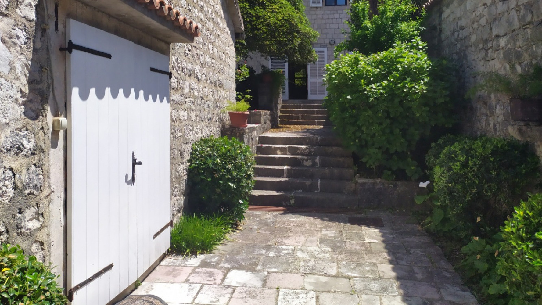 Univerzitet Crne Gore