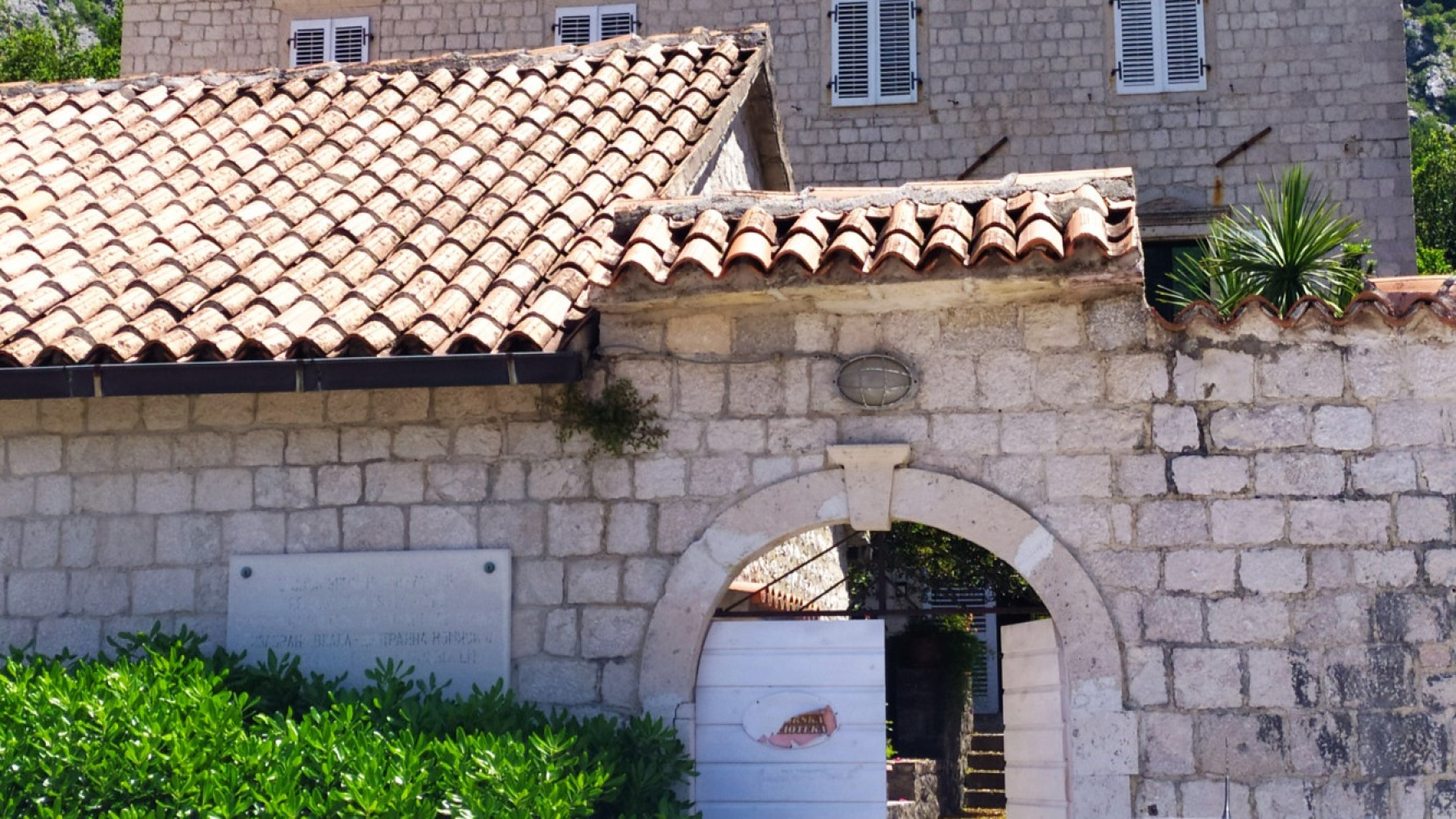 Univerzitet Crne Gore