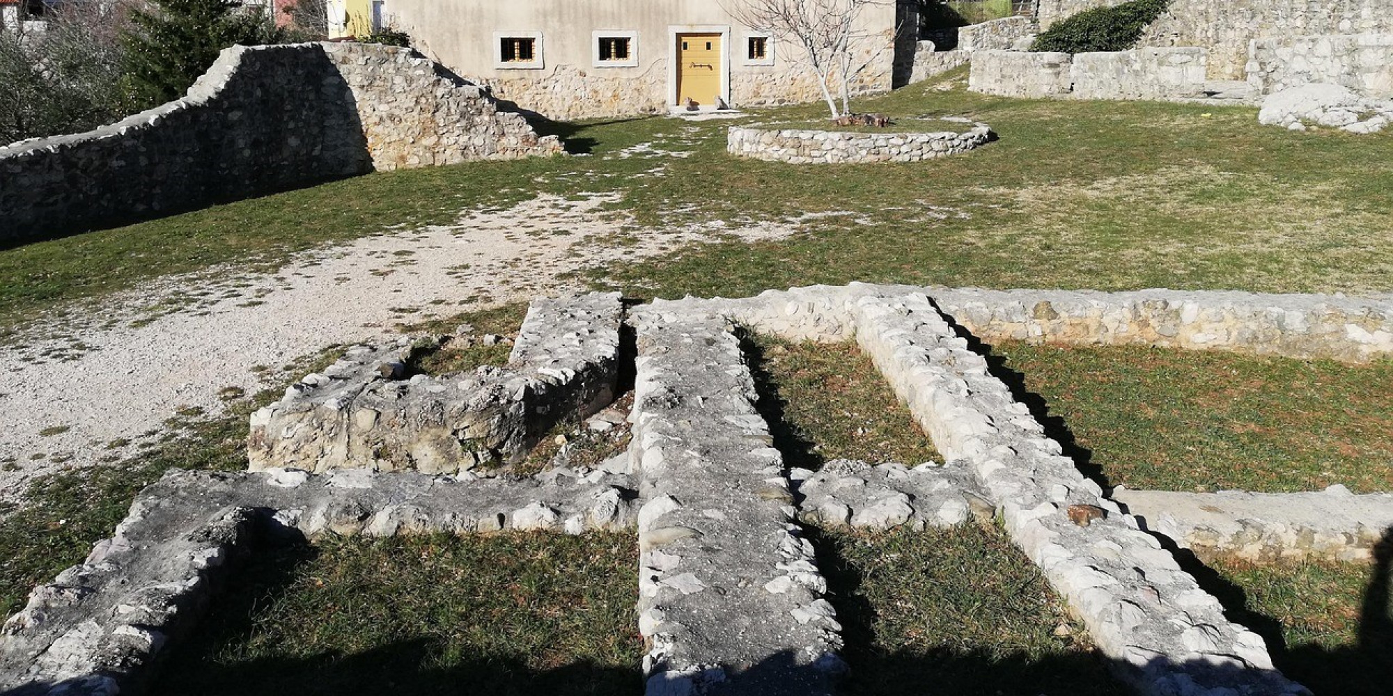 Univerzitet Crne Gore