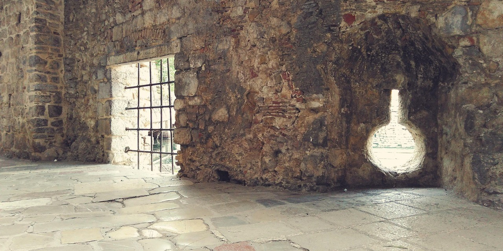 Univerzitet Crne Gore