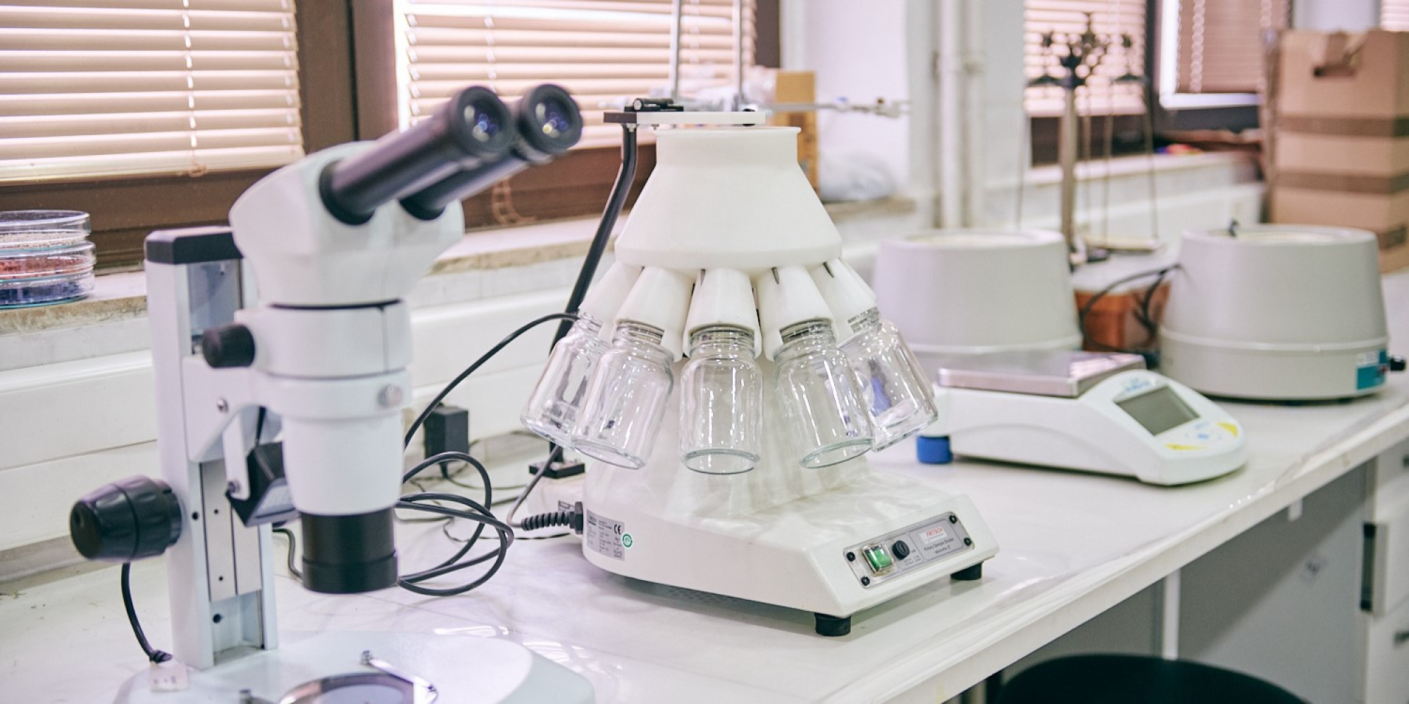 Univerzitet Crne Gore