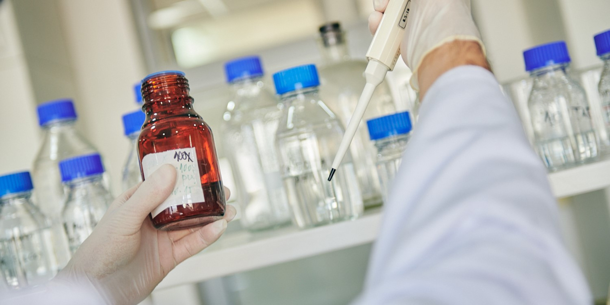 Univerzitet Crne Gore