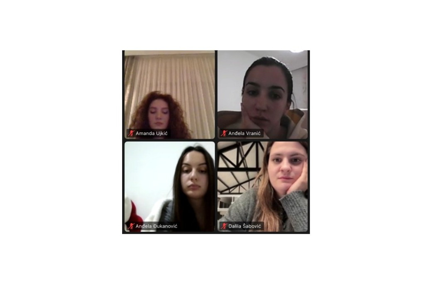 Univerzitet Crne Gore