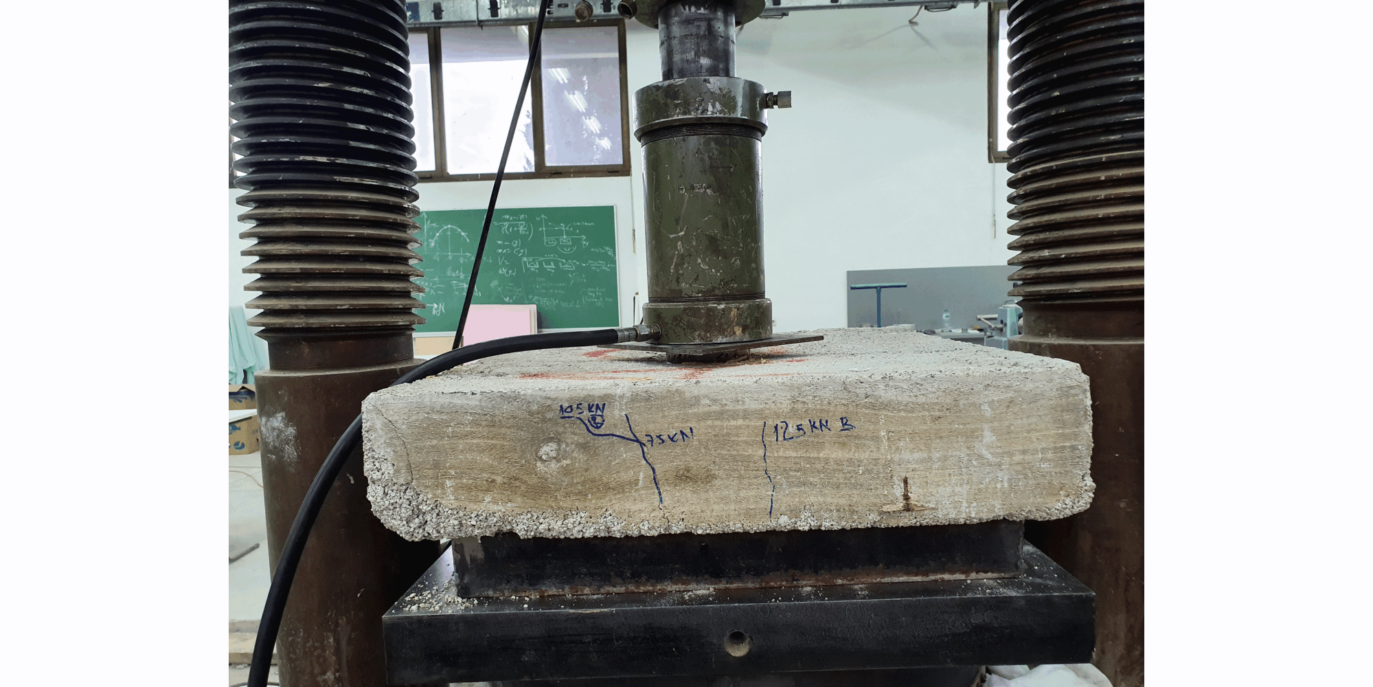 Univerzitet Crne Gore