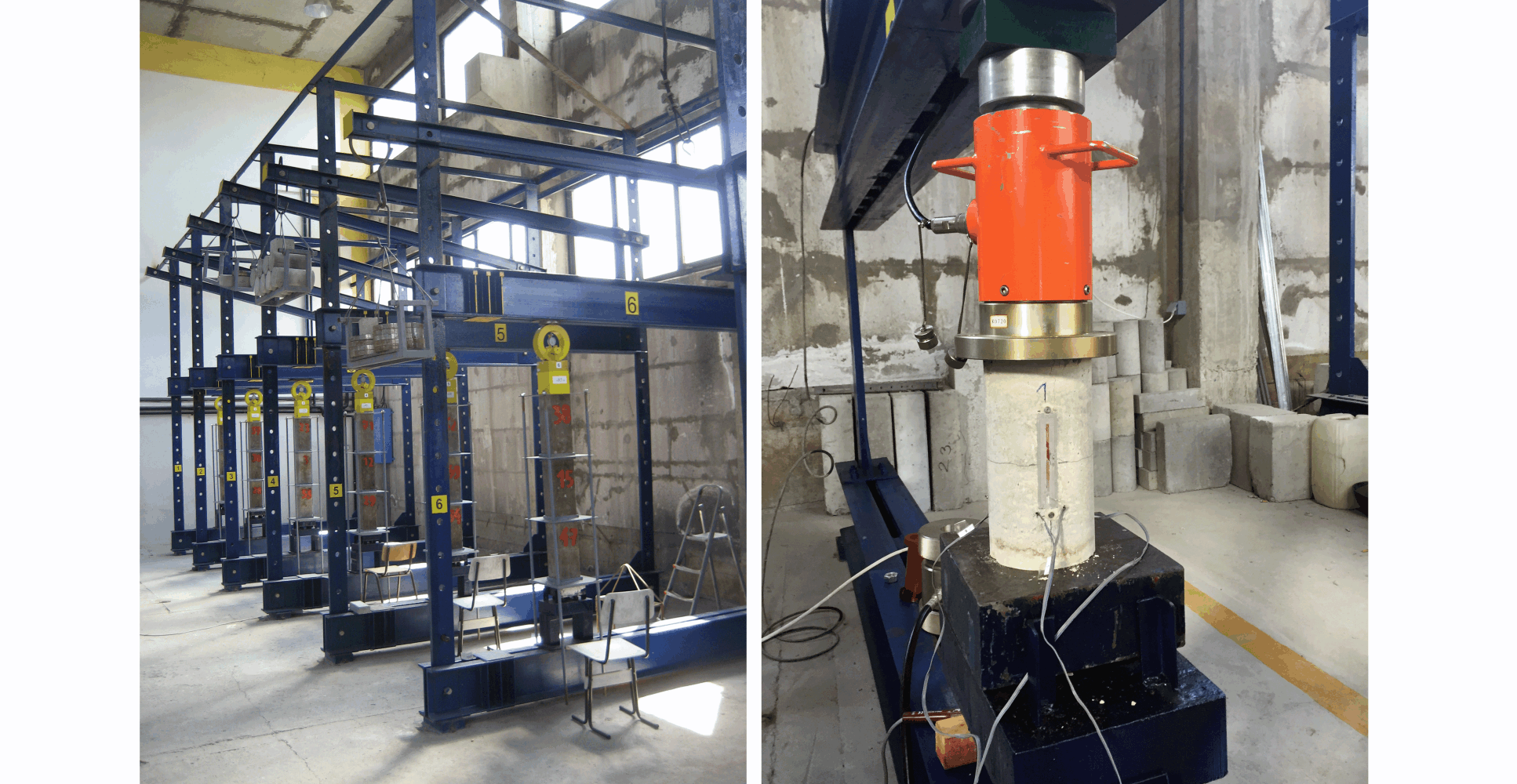 Univerzitet Crne Gore