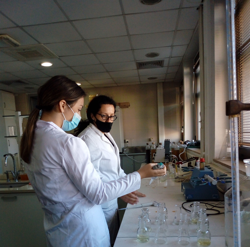 Univerzitet Crne Gore