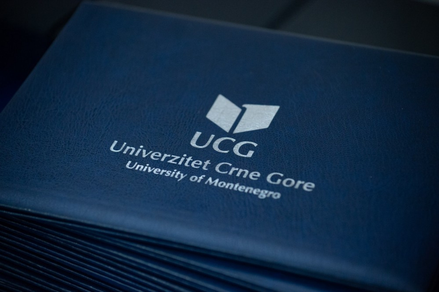 Univerzitet Crne Gore