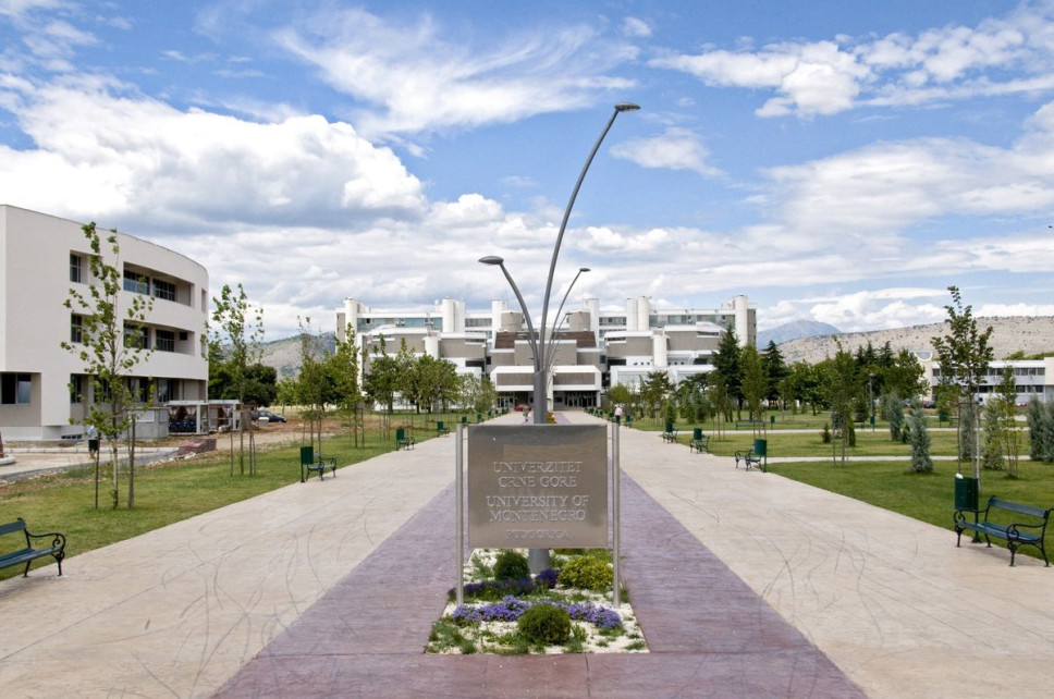 Proceedings for the Election of a New Member of the Governing Board