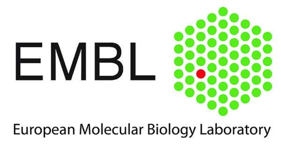 EMBL International Doctoral Program