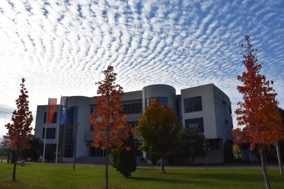 The second Call for admission to the Doctoral Studies at the University of Montenegro