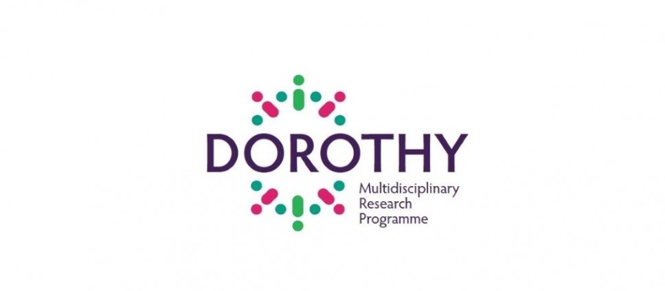 Call for postdoctoral fellowships within the Irish programme DOROTHY 