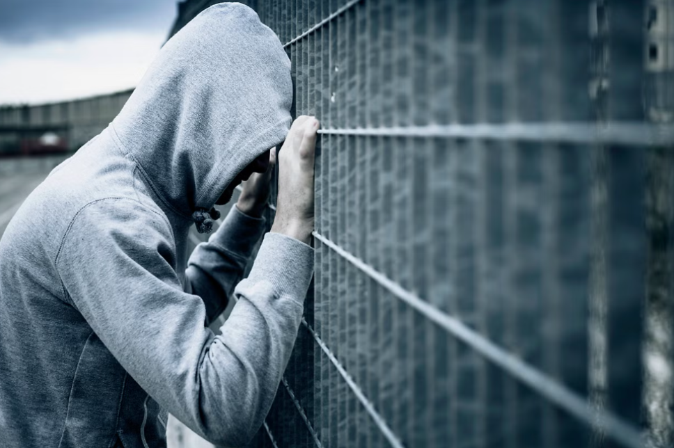 Research on Juvenile Delinquency: Impact of Parental Behaviour and Particular Family Risk Factors  