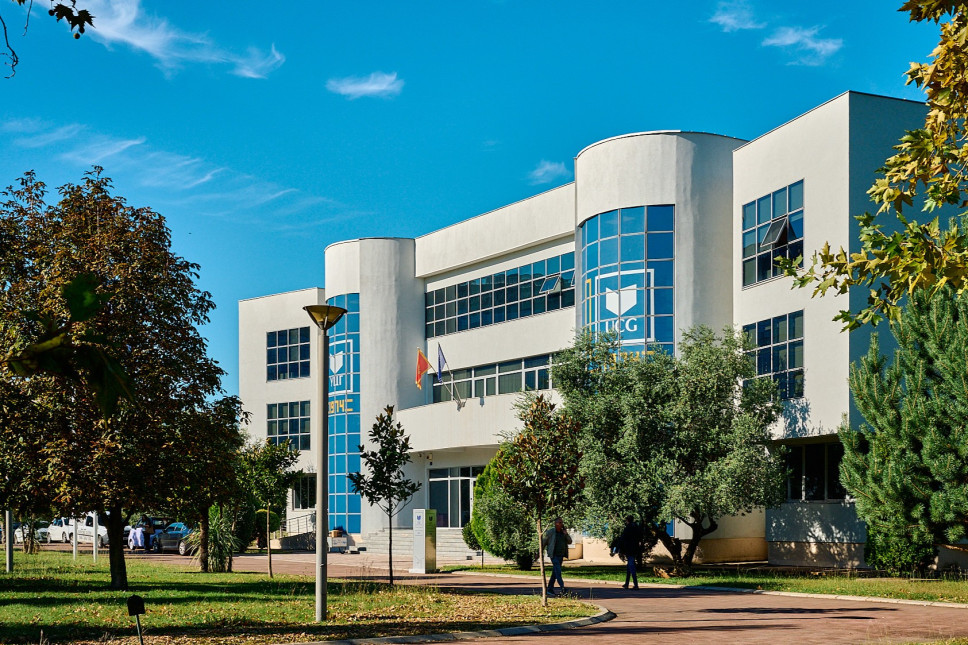 Studje roda: Osuda rodno zasnovanog nasilja