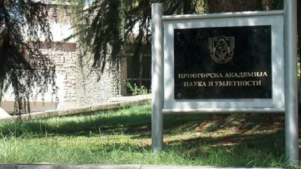 Profesorima i saradnicima Univerziteta Crne Gore dodijeljene CANU povelje i nagrade