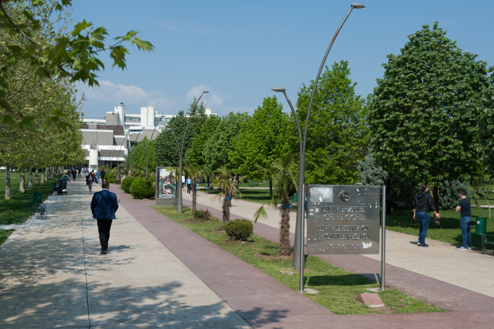 Competition for Enrolment to PhD Studies of the University of Montenegro – Enrolment Deadline IV 