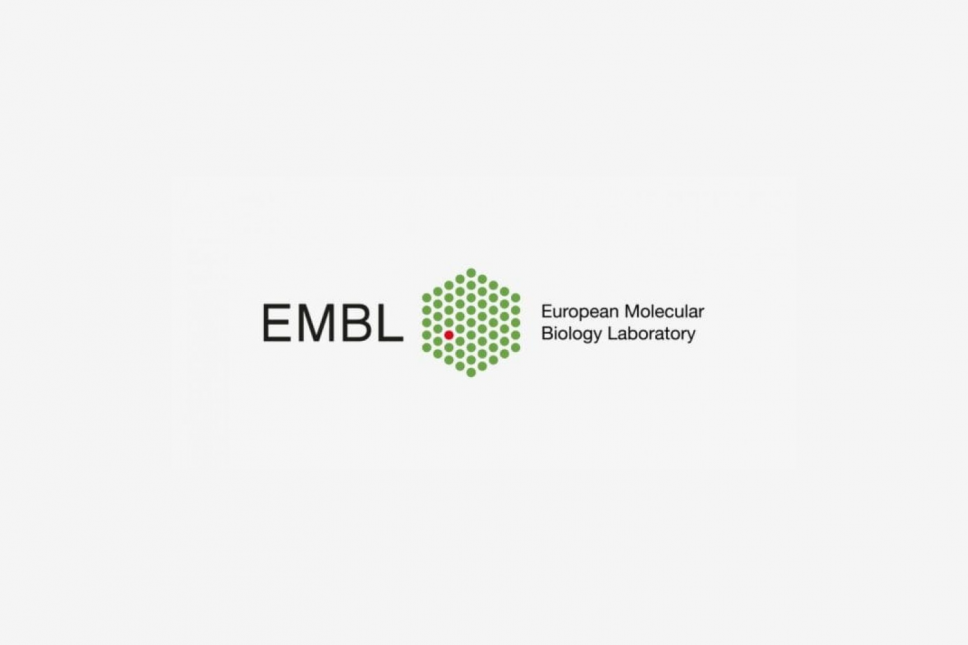 International Doctoral Program of the European Laboratory for Molecular Biology (EMBL)