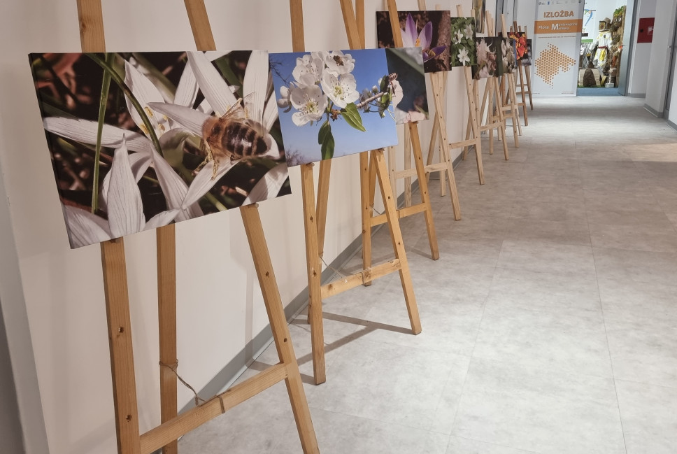 New announcement - 11.02.2026 20:52