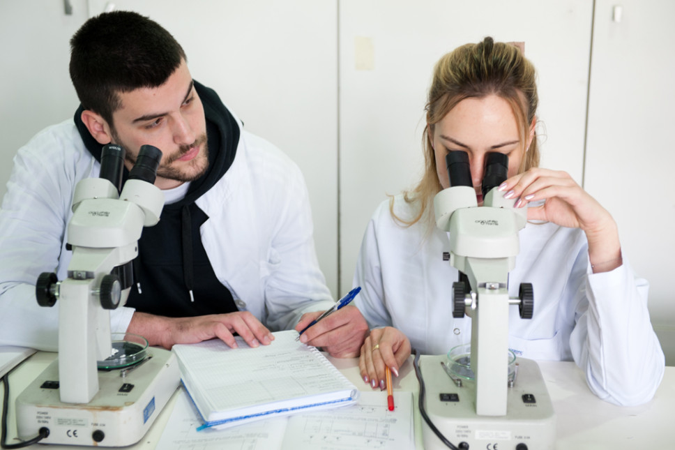 Archeological collection of the Faculty of Natural Sciences and Mathematics dates back to medieval period