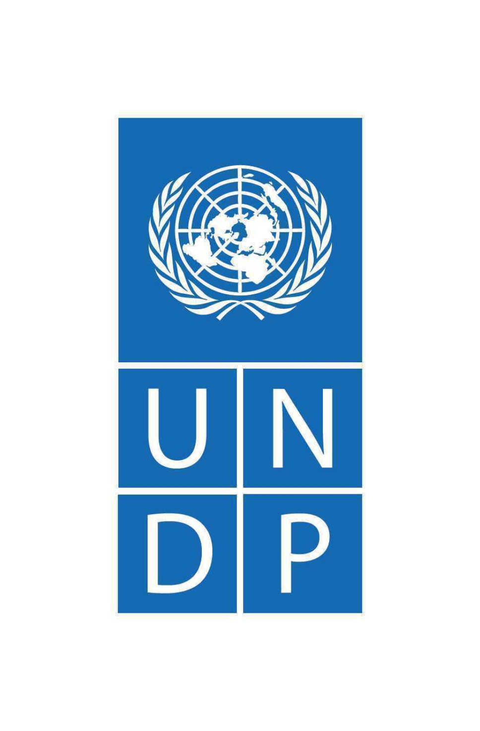 UNDP oglasi za četiri konsultanta iz akademskog sektora za razvoj strateških dokumenata